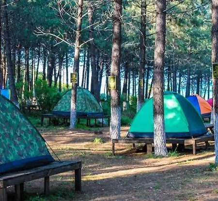 Nzr Kamp * Serdivan
